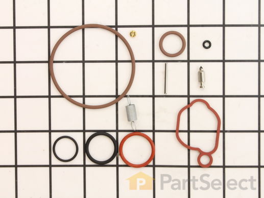 9044539-1-M-Briggs and Stratton-590589-Kit-Carb Overhaul