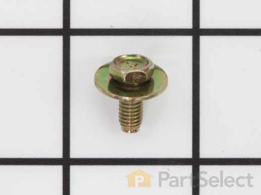9062008-1-M-Briggs and Stratton-690316-Screw-Slotted Hex.
