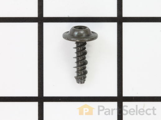 9065556-1-M-Briggs and Stratton-691677-Screw (Rotating Screen)