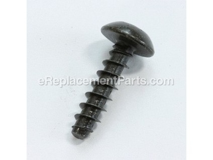 9066463-1-M-Briggs and Stratton-697897-Screw (Rotating Screen)