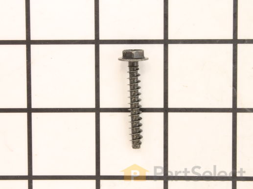 9066474-1-M-Briggs and Stratton-698425-Screw (Rotating Screen)