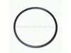 O-Ring – Part Number: 740482702