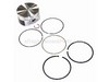 Piston Assembly (.020 Oversize) – Part Number: 793648