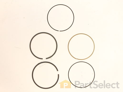9139252-1-M-Briggs and Stratton-792306-Ring Set