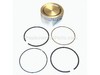 Piston Assembly – Part Number: 793794