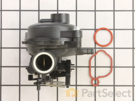 Official Briggs and Stratton 799584 Carburetor – PartSelect.com
