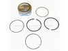 Piston Assembly (.020 Oversize) – Part Number: 793797