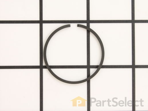 9177819-1-M-Echo-A101000000-Ring-Piston (Sold Individually)