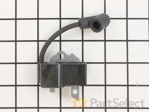 9195661-1-M-Echo-A411000460-Coil-Ignition
