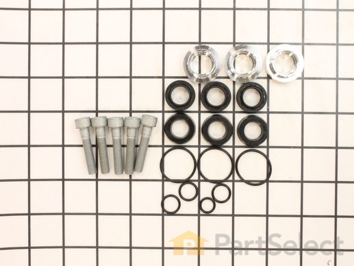 9269595-1-M-Briggs and Stratton-197309GS-Kit, Seal Set