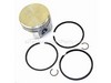 9281520-1-S-Briggs and Stratton-499960-Piston Assembly (Standard)