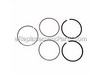 9306685-1-S-Briggs and Stratton-791969-Ring Set-Standard