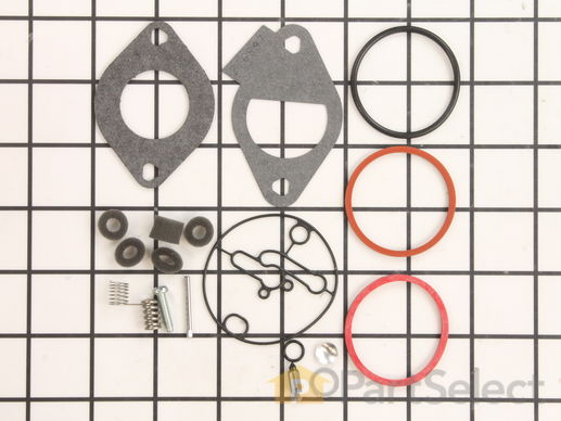 9306893-1-M-Briggs and Stratton-796184-Kit-carb Overhaul