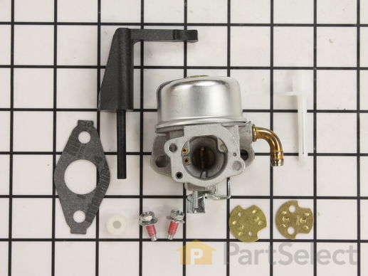 Carburetor For MTD 5hp Garden Tiller With Briggs & Stratton Engine – Partiesjardin