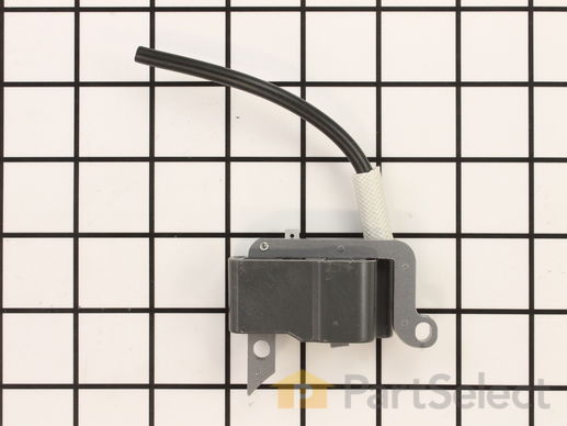 9321810-1-M-Echo-P021003910-Coil-Ignition