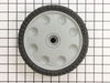 Assembly TIRE & WHEEL (DRIVE) – Part Number: 1765750
