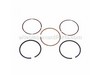 Piston Ring Assembly – Part Number: 753-05229