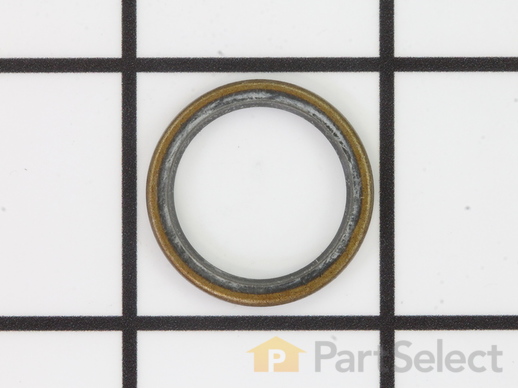 9469415-1-M-Poulan-530019076-Seal - Oil Pump Included in Gasket Kit 69025