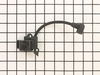 Ignition Module – Part Number: 530035505