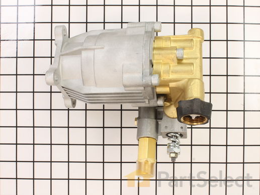 9938752-1-M-Ridgid-309515003-Pressure Washer Pump Assembly