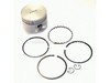 Piston With Ring Set-Std. – Part Number: 4187410-S