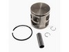 Piston Replacement Kit – Part Number: 530071883