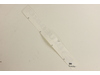 Decal, Bluebird W/logo 15.5 – Part Number: 539008338