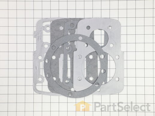 9998169-1-M-Mi-T-M-70-0472-Pump Gasket