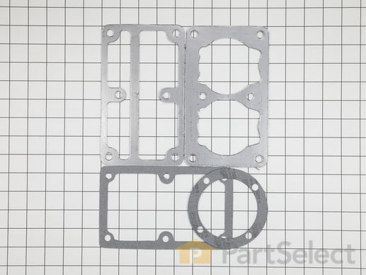 9998185-1-M-Mi-T-M-70-0519-Kit-pump Gaskets