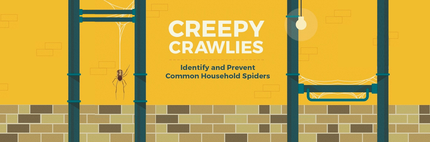 Creepy Crawlies: