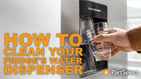 How to Clean Your Fridge's Water Dispenser