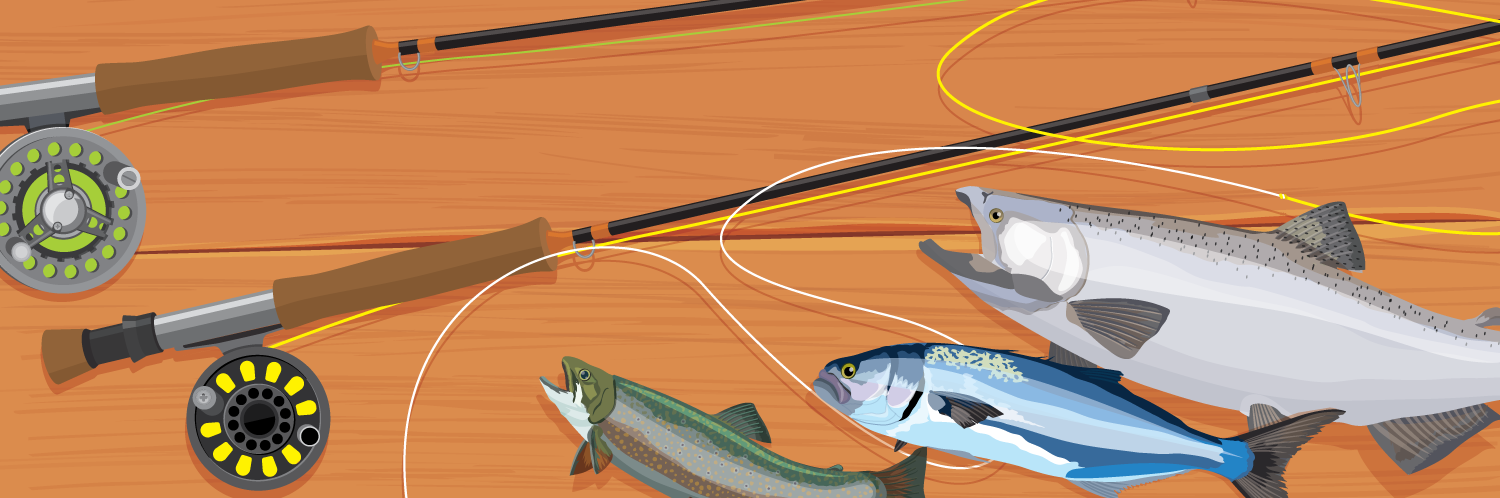 Fly Fishing With the Right Rod and Reel