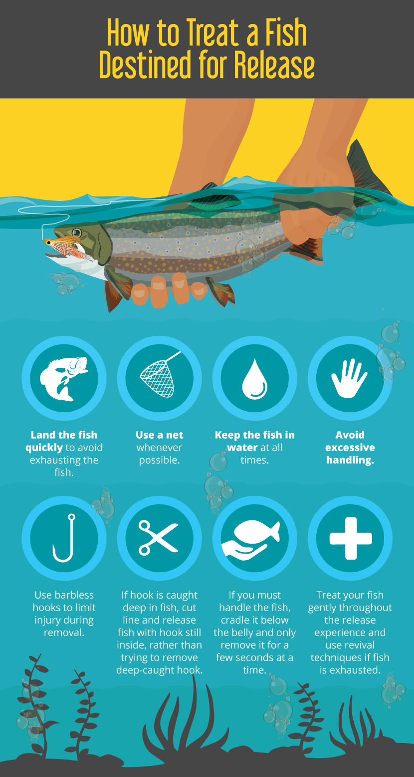 Catch and Release Fishing Guidelines