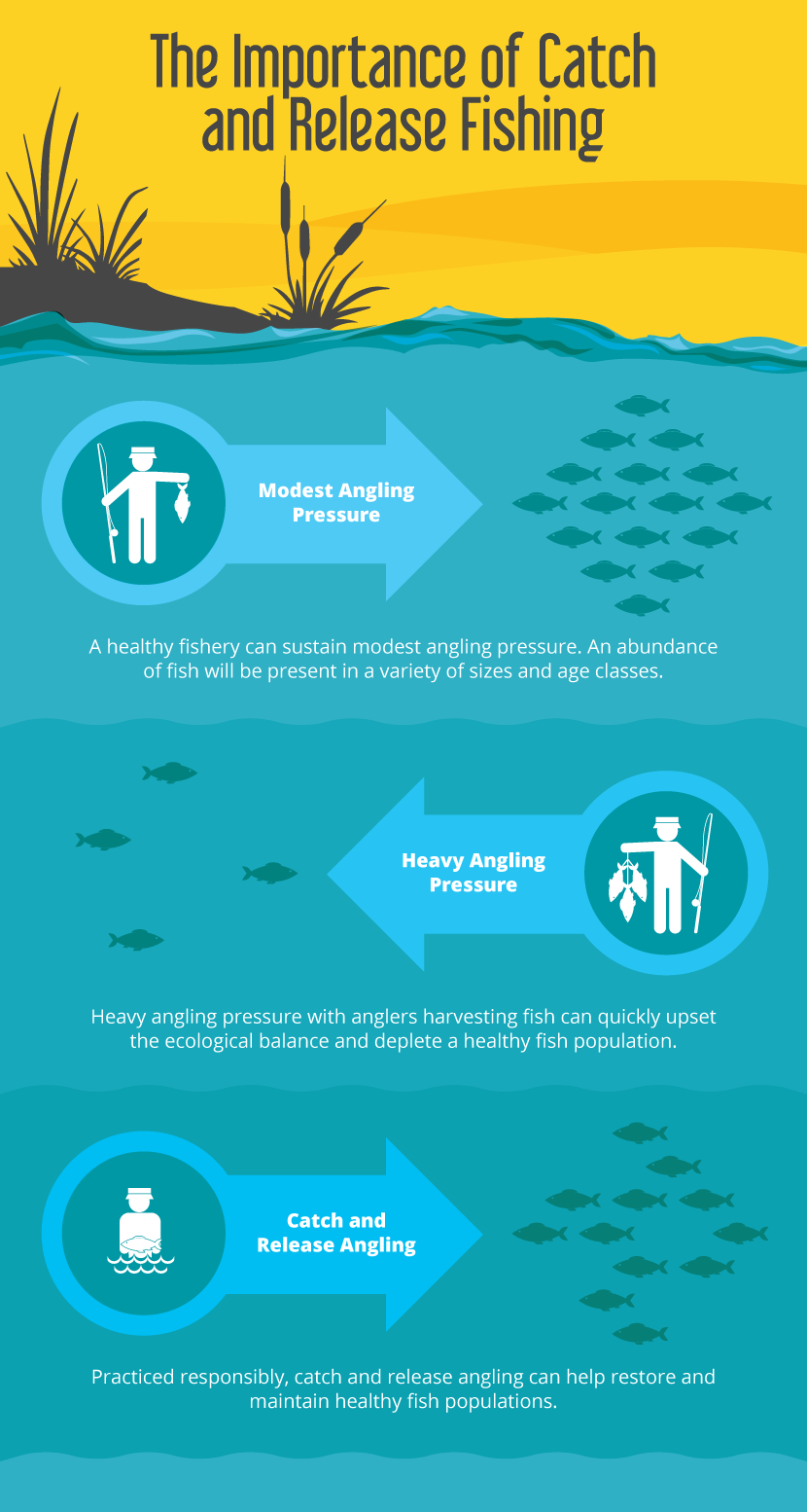 How to Catch & Release Fish Safely & Responsibly