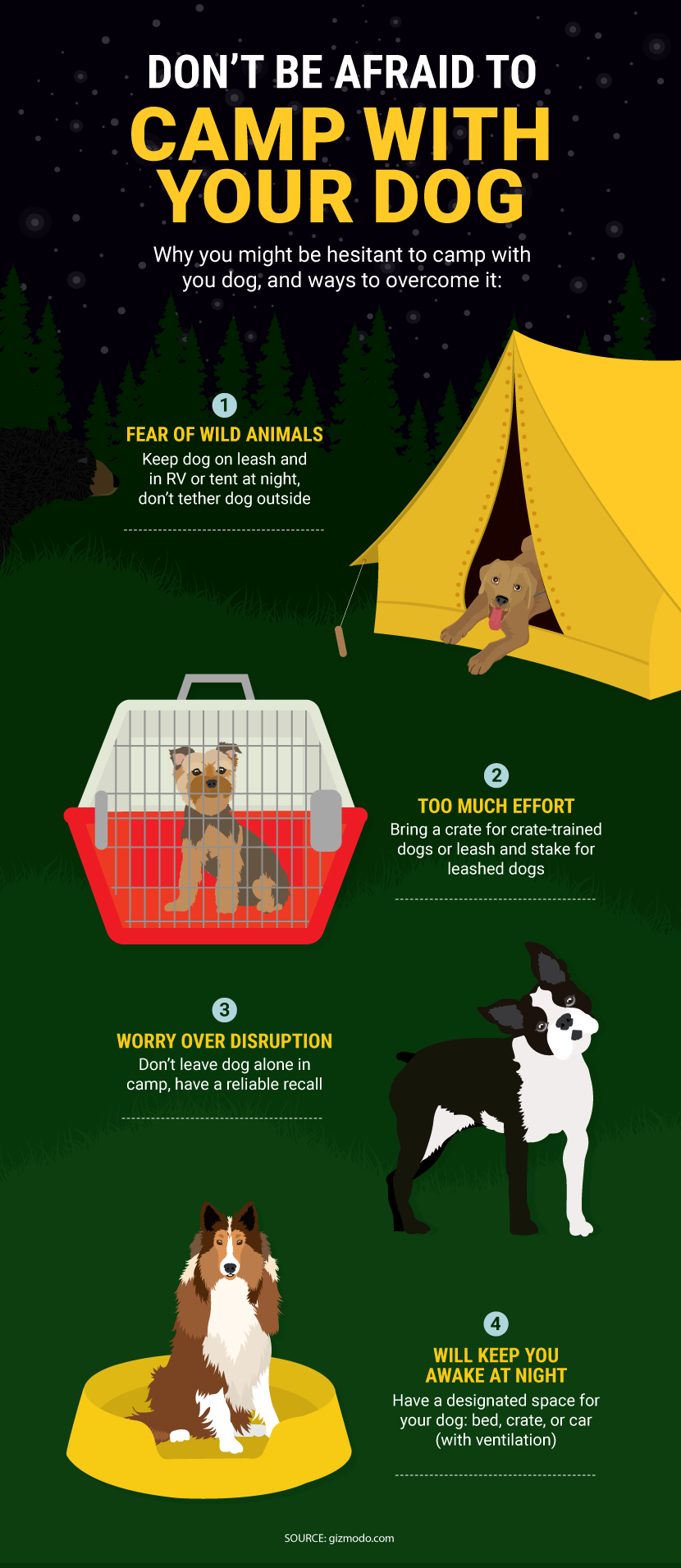 7 Ways to Keep Your Dog Busy at Camp – YouDidWhatWithYourWiener.com