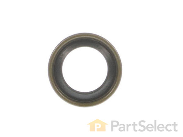 8919181-1-S-Simplicity-2118117SM-Seal, Oil 360 view