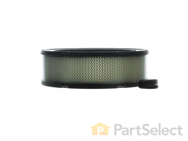 8962593-1-S-Briggs and Stratton-394018S-Filter-Air Cleaner Cartridge 360 view