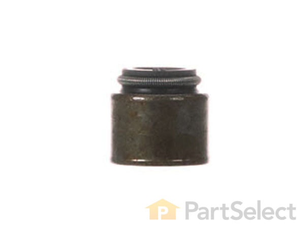 9073136-1-S-Briggs and Stratton-690968-Seal-Valve 360 view