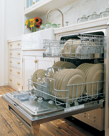 Clean Dishwasher?